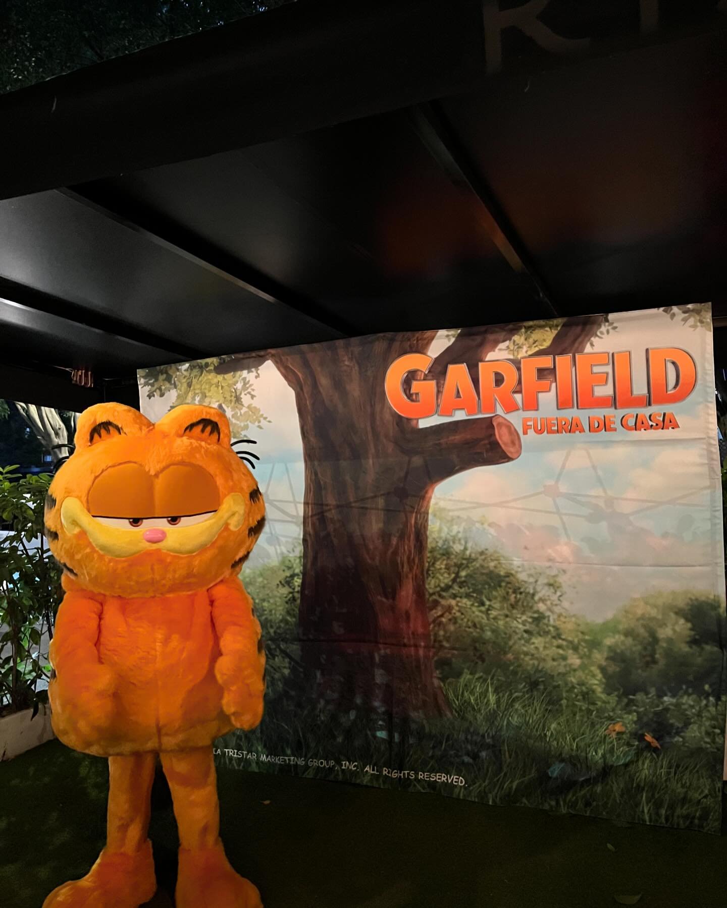 garfield2024