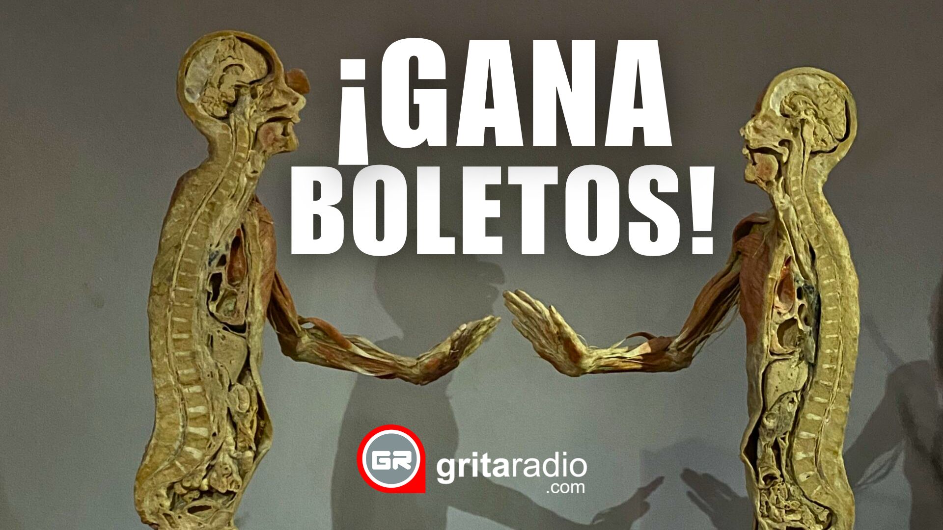 !!Gana Boletos¡¡ (4)