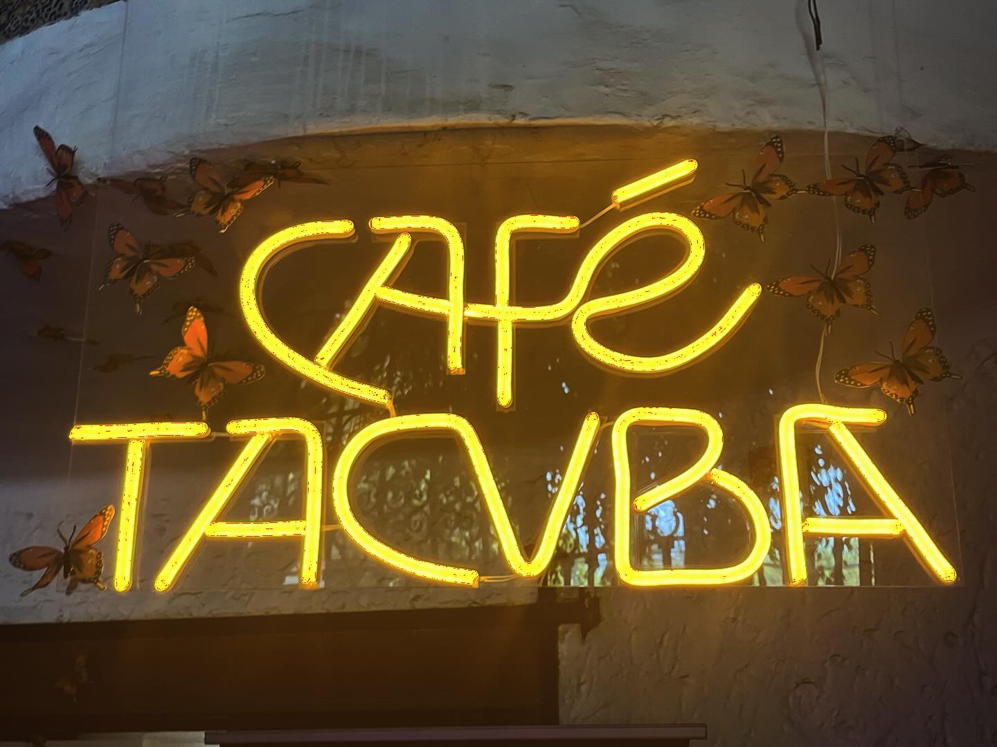 cafe tacvba_ La Base (11)