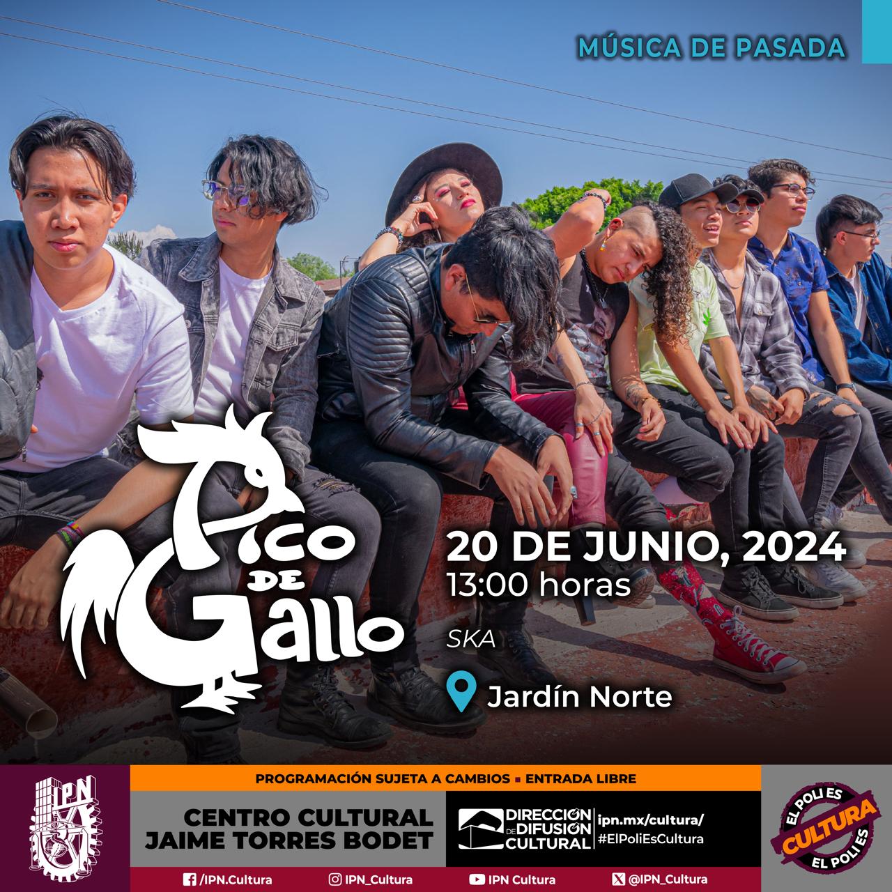 20 junio-Presentación_Pico de Gallo