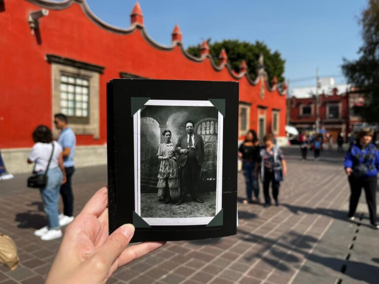 elcoyoacandefrida