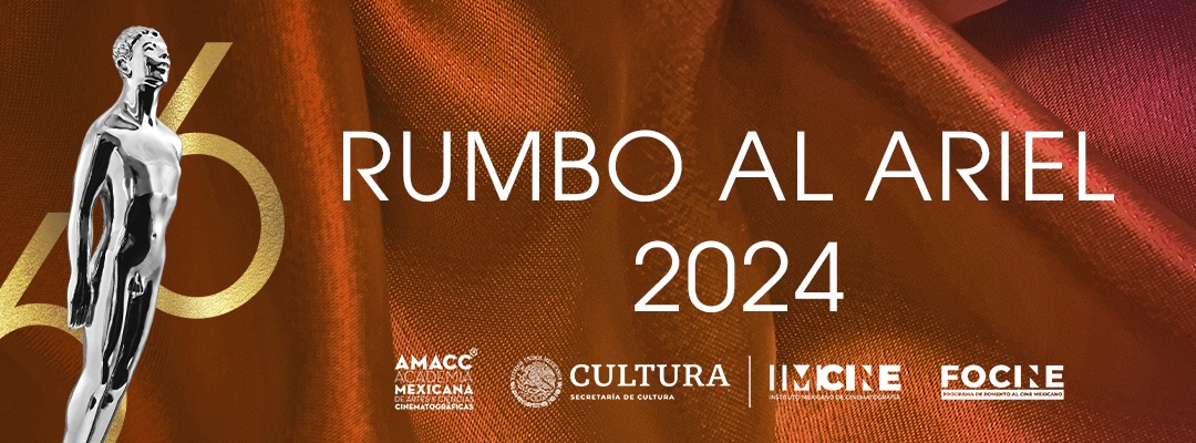 Página Oficial_ AMACC