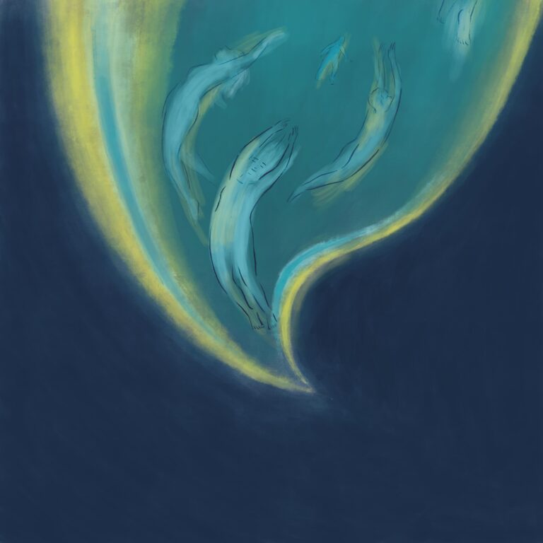 IMAGEN_CAM_2024_LIMPIA (1)