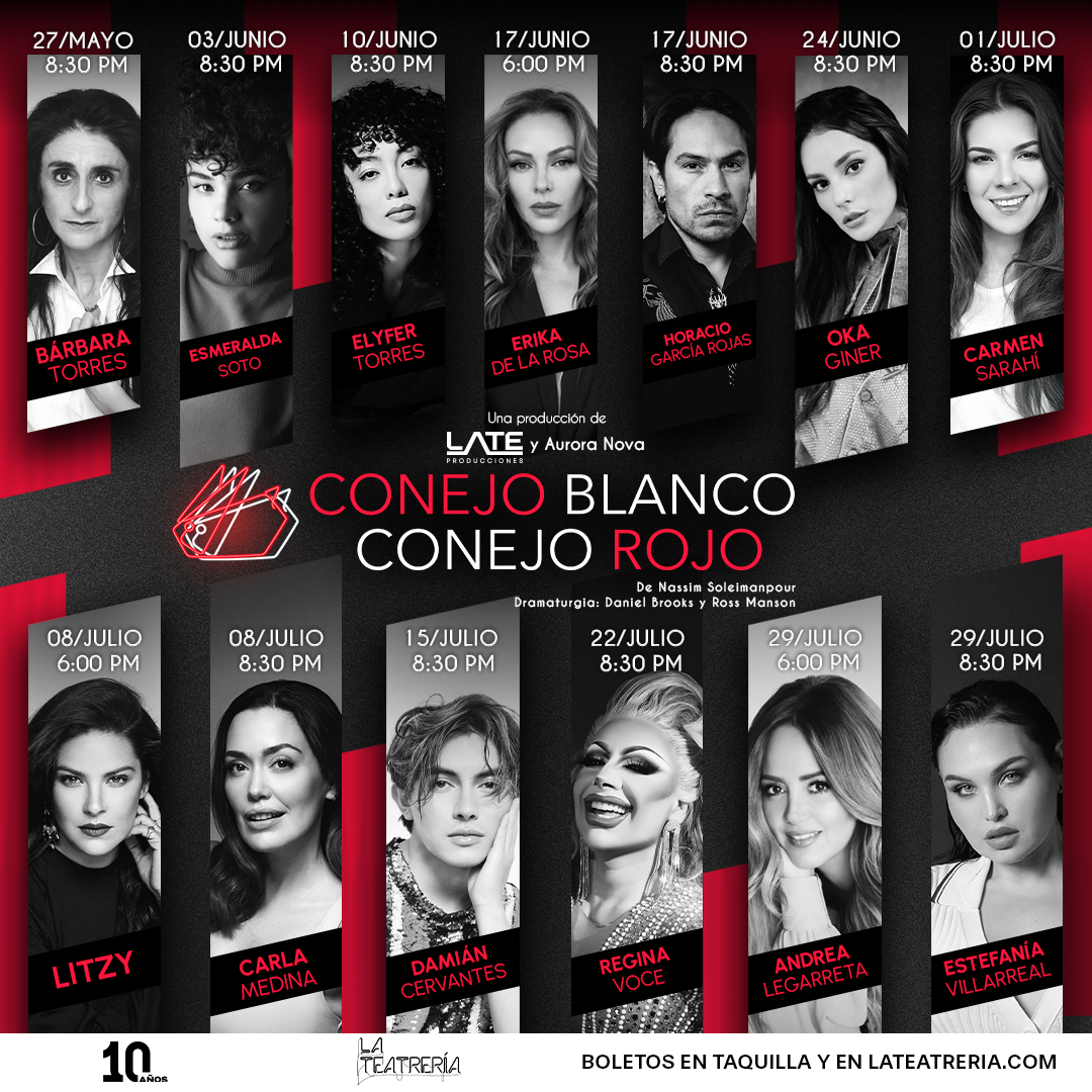 CONEJO_GENERICO_PAUTA (1)