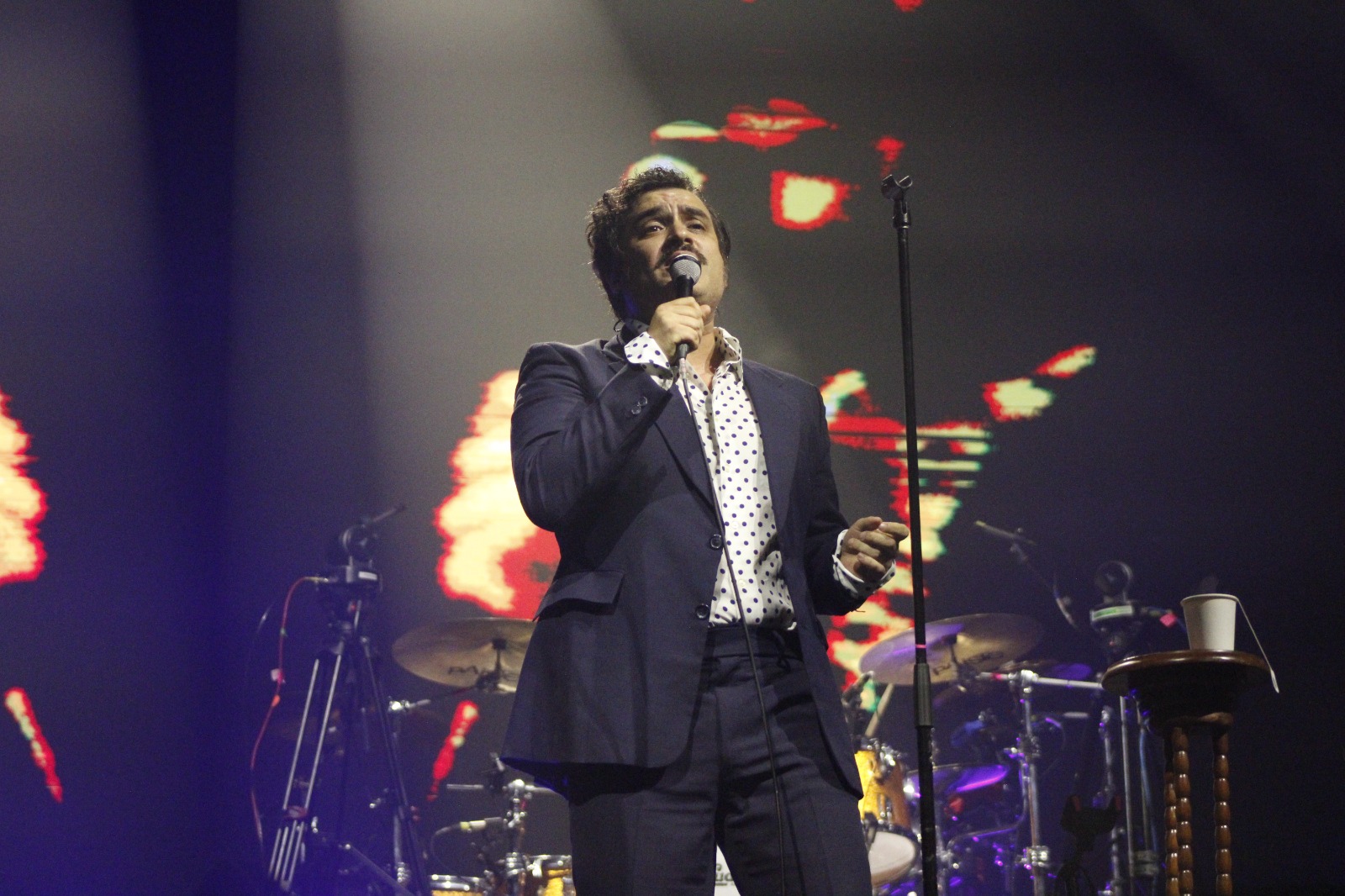 Enjambre 2025 Palacio de los deportes (7)