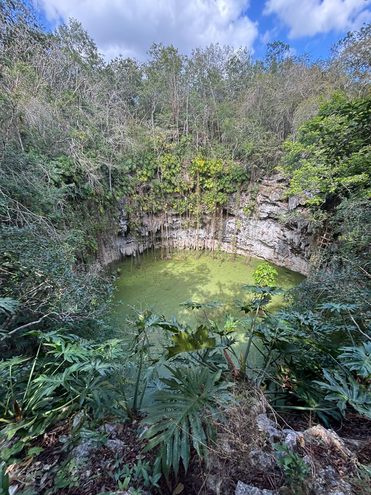 Muúk Karant YUCATÁN (2)