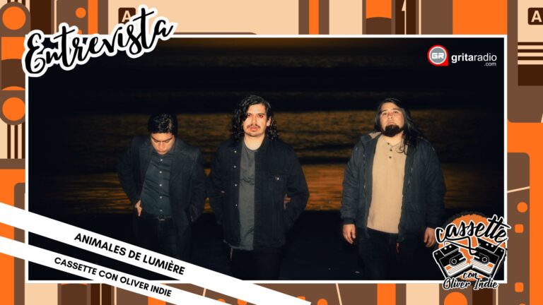 22 Animales de Lumière