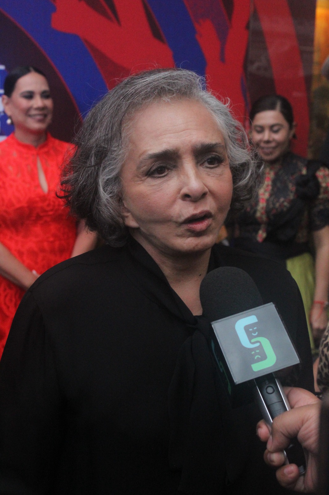 Alfombra Roja Ana Martín (1)