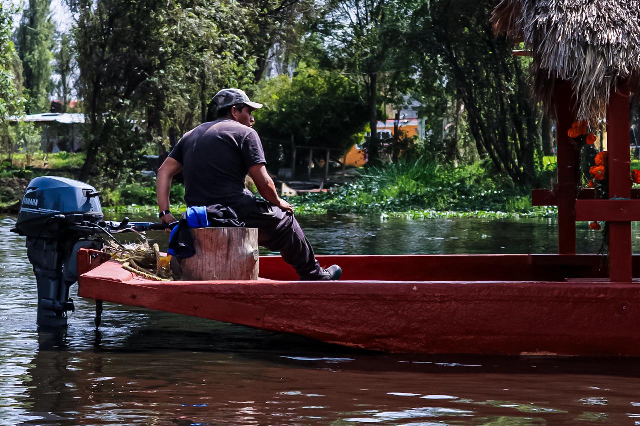 ALCALDÍA XOCHIMILCO (1)