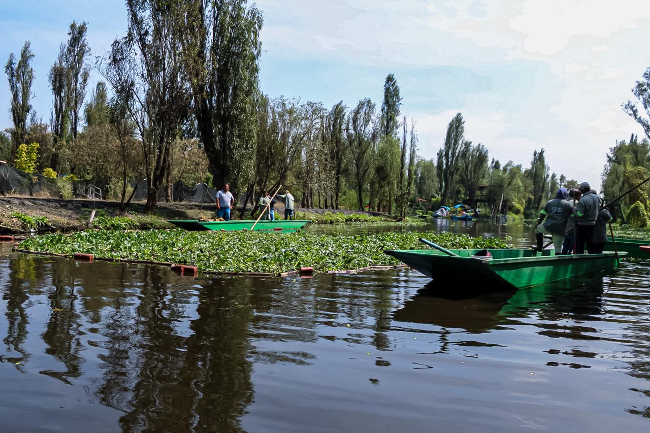 ALCALDÍA XOCHIMILCO (10)