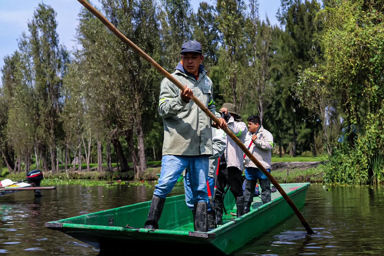 ALCALDÍA XOCHIMILCO (11)