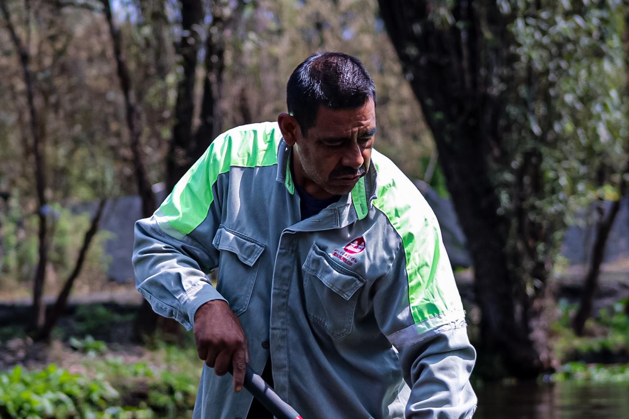 ALCALDÍA XOCHIMILCO (13)
