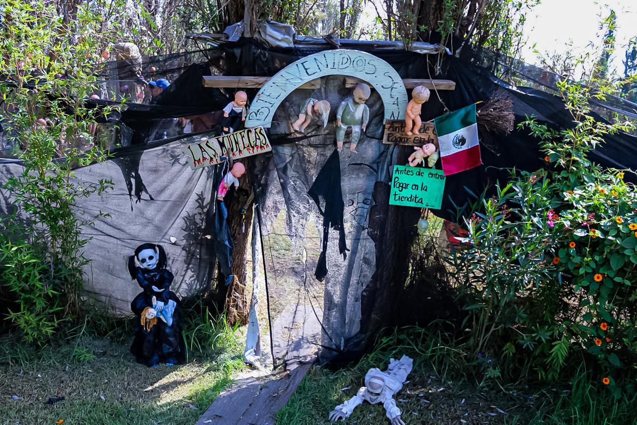 ALCALDÍA XOCHIMILCO (15)