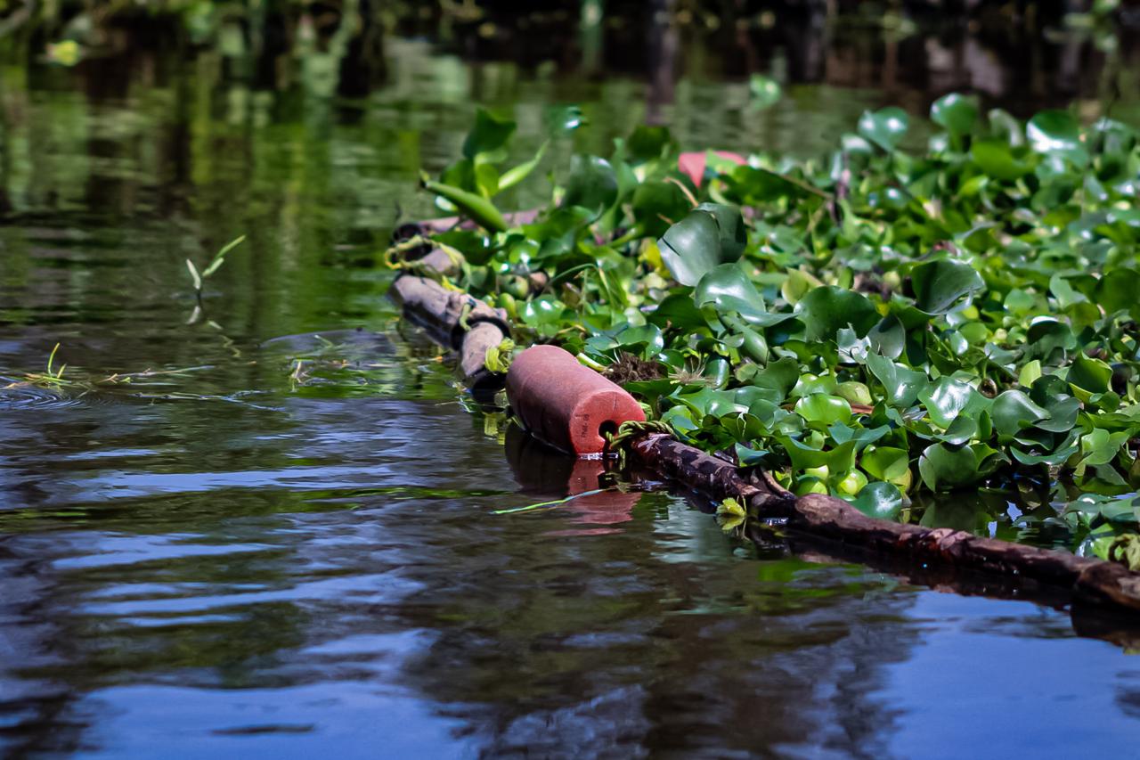 ALCALDÍA XOCHIMILCO (16)