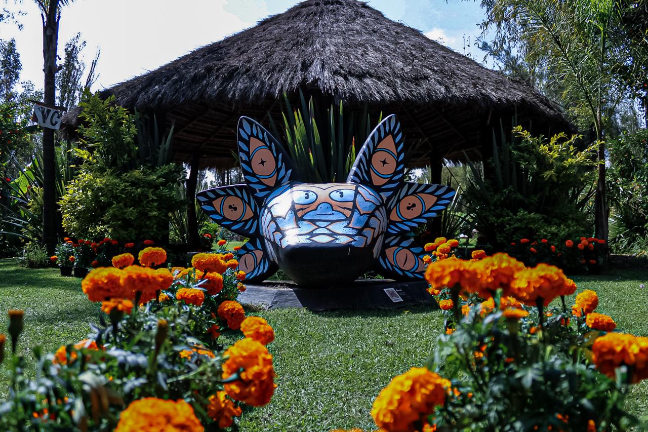 ALCALDÍA XOCHIMILCO (18)