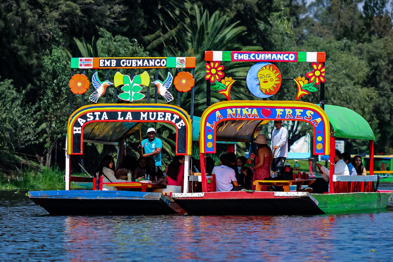 ALCALDÍA XOCHIMILCO (2)