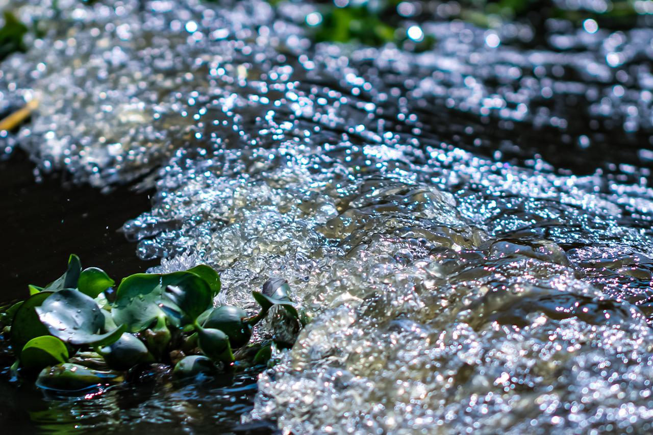 ALCALDÍA XOCHIMILCO (3)
