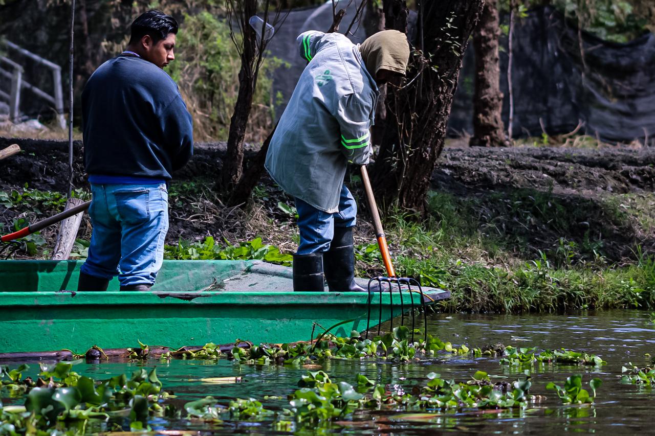 ALCALDÍA XOCHIMILCO (4)