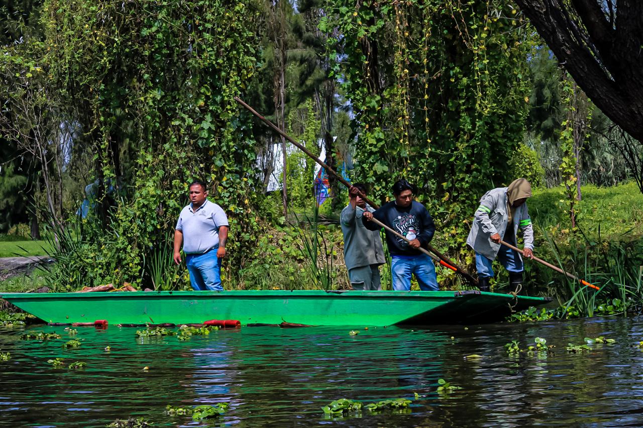 ALCALDÍA XOCHIMILCO (8)