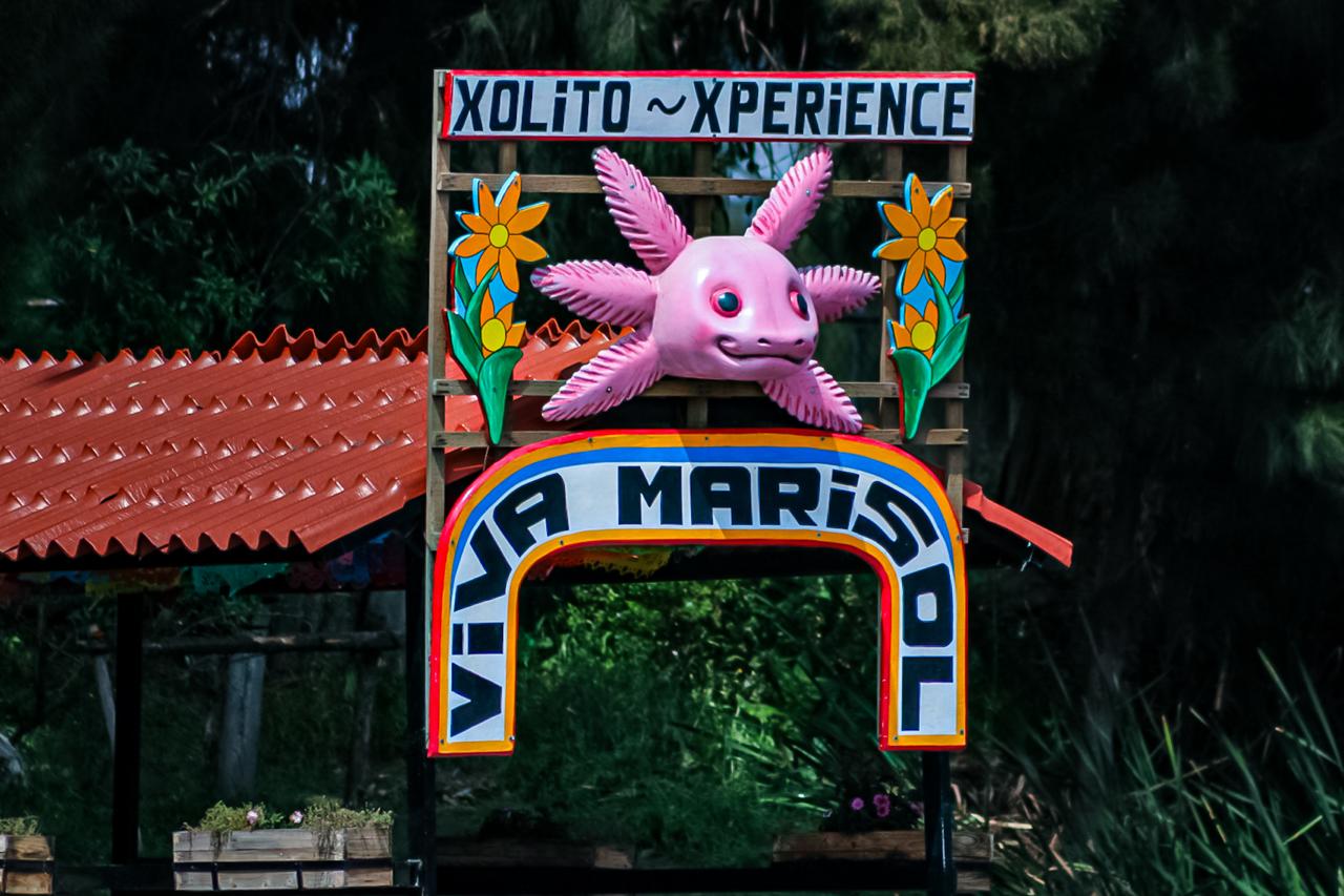 ALCALDÍA XOCHIMILCO (9)