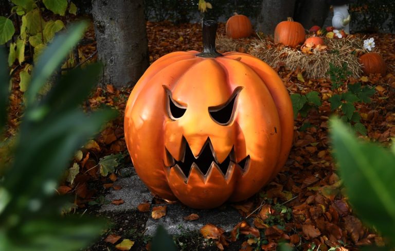 las películas de terror más vistas de Halloween 2025.