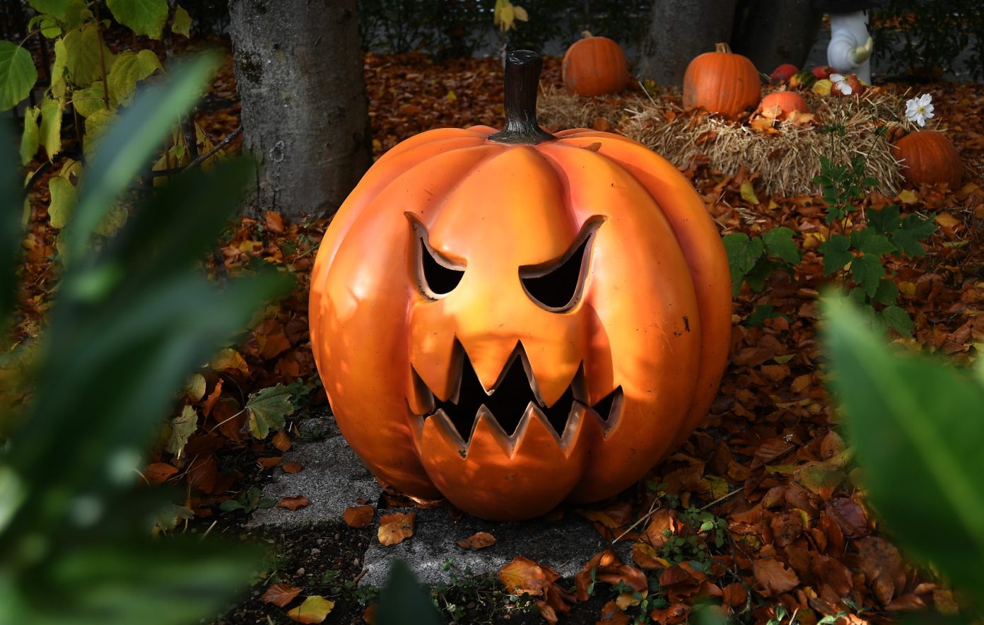 las películas de terror más vistas de Halloween 2025.