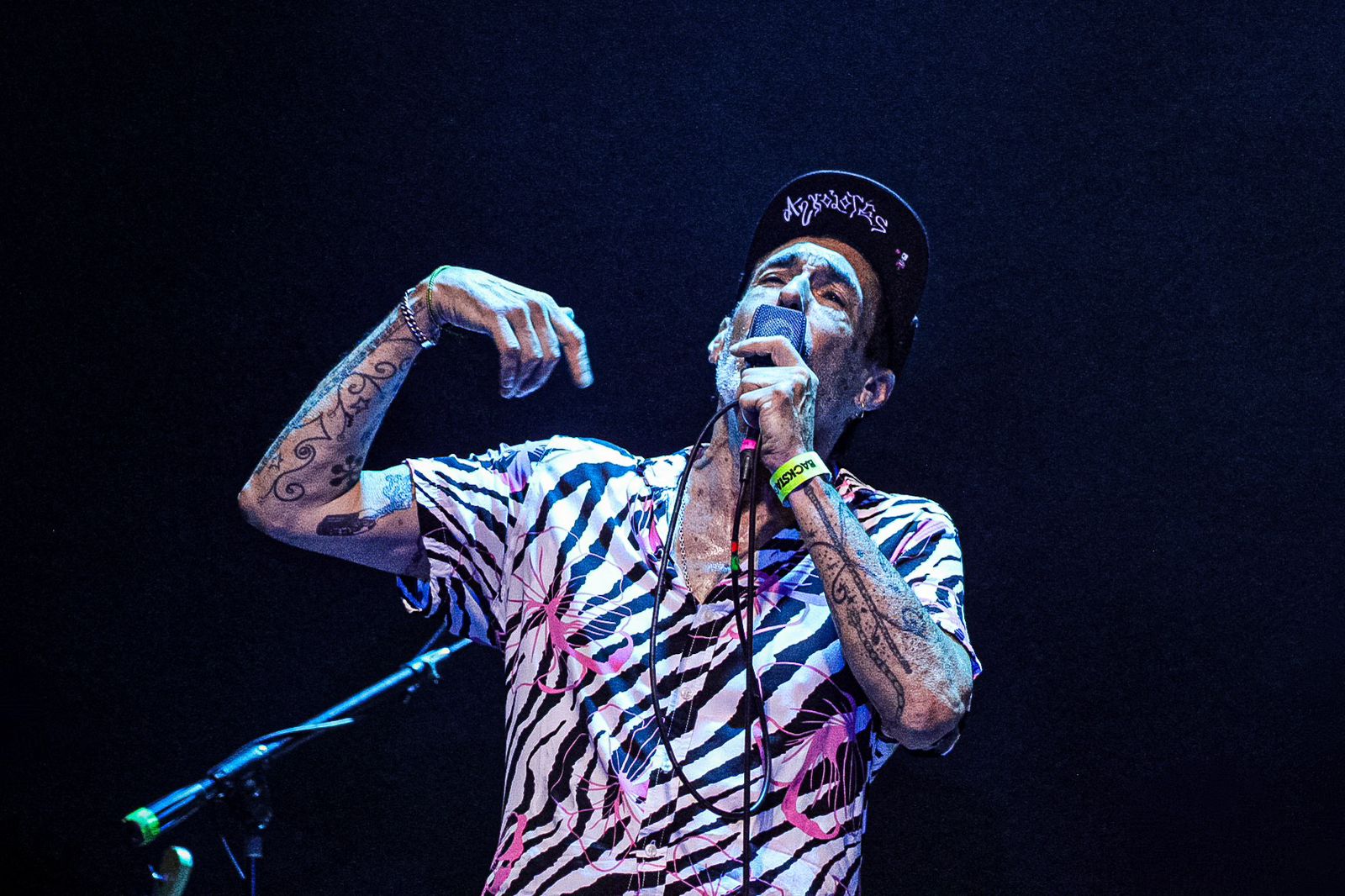 ARBOL FORO INDIE ROCKS 26 DE NOVIEMBRE 2025 (1)