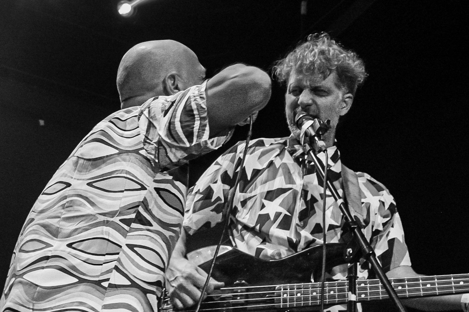 ARBOL FORO INDIE ROCKS 26 DE NOVIEMBRE 2025 (12)