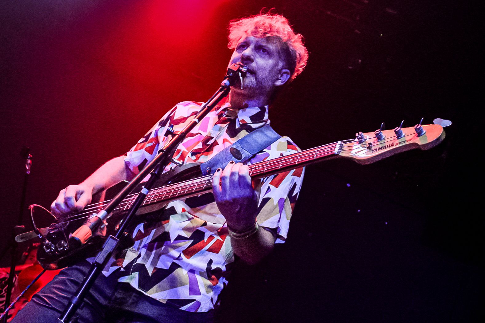 ARBOL FORO INDIE ROCKS 26 DE NOVIEMBRE 2025 (25)