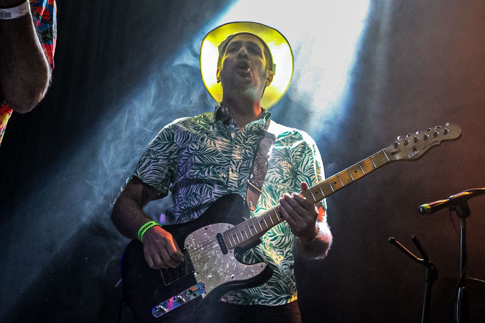 ARBOL FORO INDIE ROCKS 26 DE NOVIEMBRE 2025 (29)