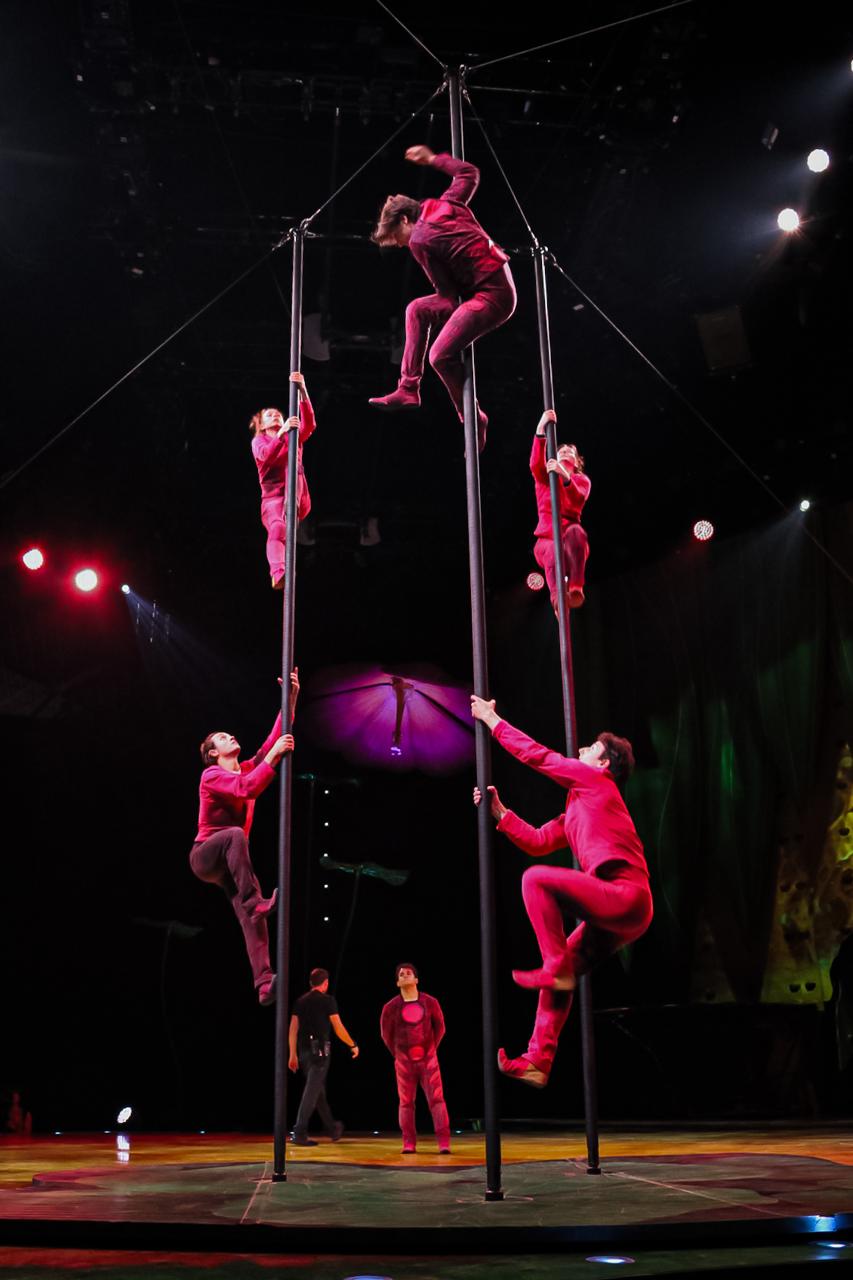 OVO CIRQUE DU SOLEIL PALACIO DE LOS DEPORTES 12 DE NOVIEMBRE 2025 (10)