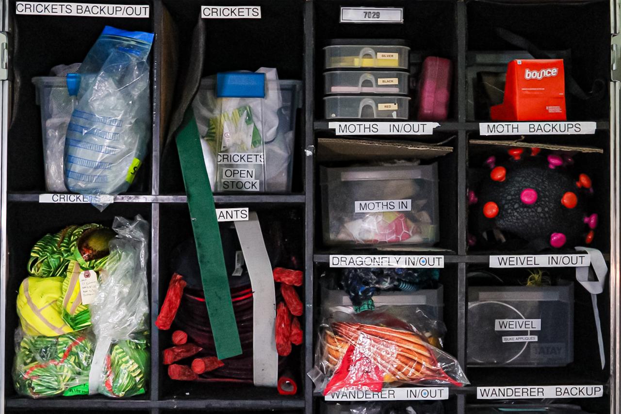 OVO CIRQUE DU SOLEIL PALACIO DE LOS DEPORTES 12 DE NOVIEMBRE 2025 (11)