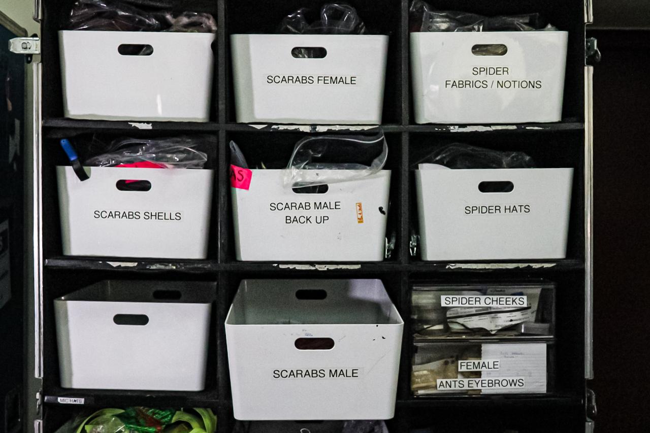 OVO CIRQUE DU SOLEIL PALACIO DE LOS DEPORTES 12 DE NOVIEMBRE 2025 (15)