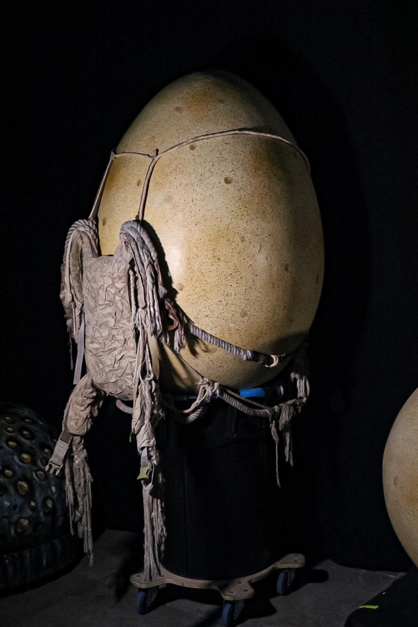 OVO CIRQUE DU SOLEIL PALACIO DE LOS DEPORTES 12 DE NOVIEMBRE 2025 (16)