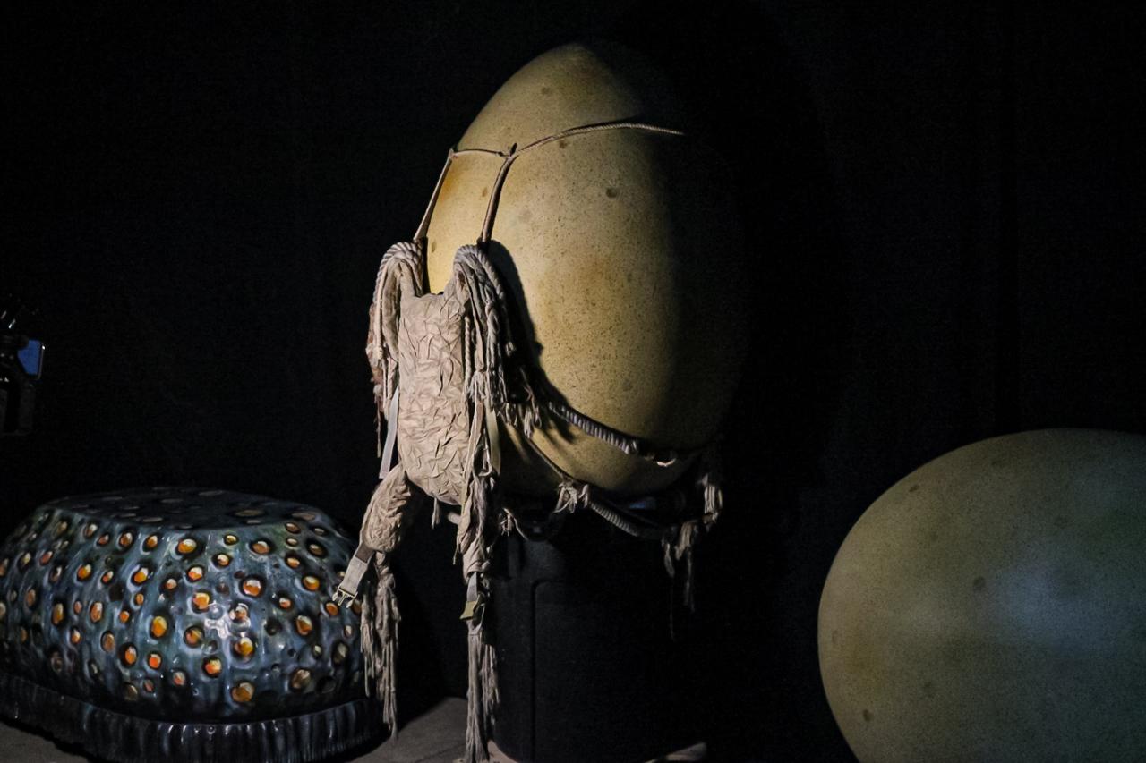 OVO CIRQUE DU SOLEIL PALACIO DE LOS DEPORTES 12 DE NOVIEMBRE 2025 (20)