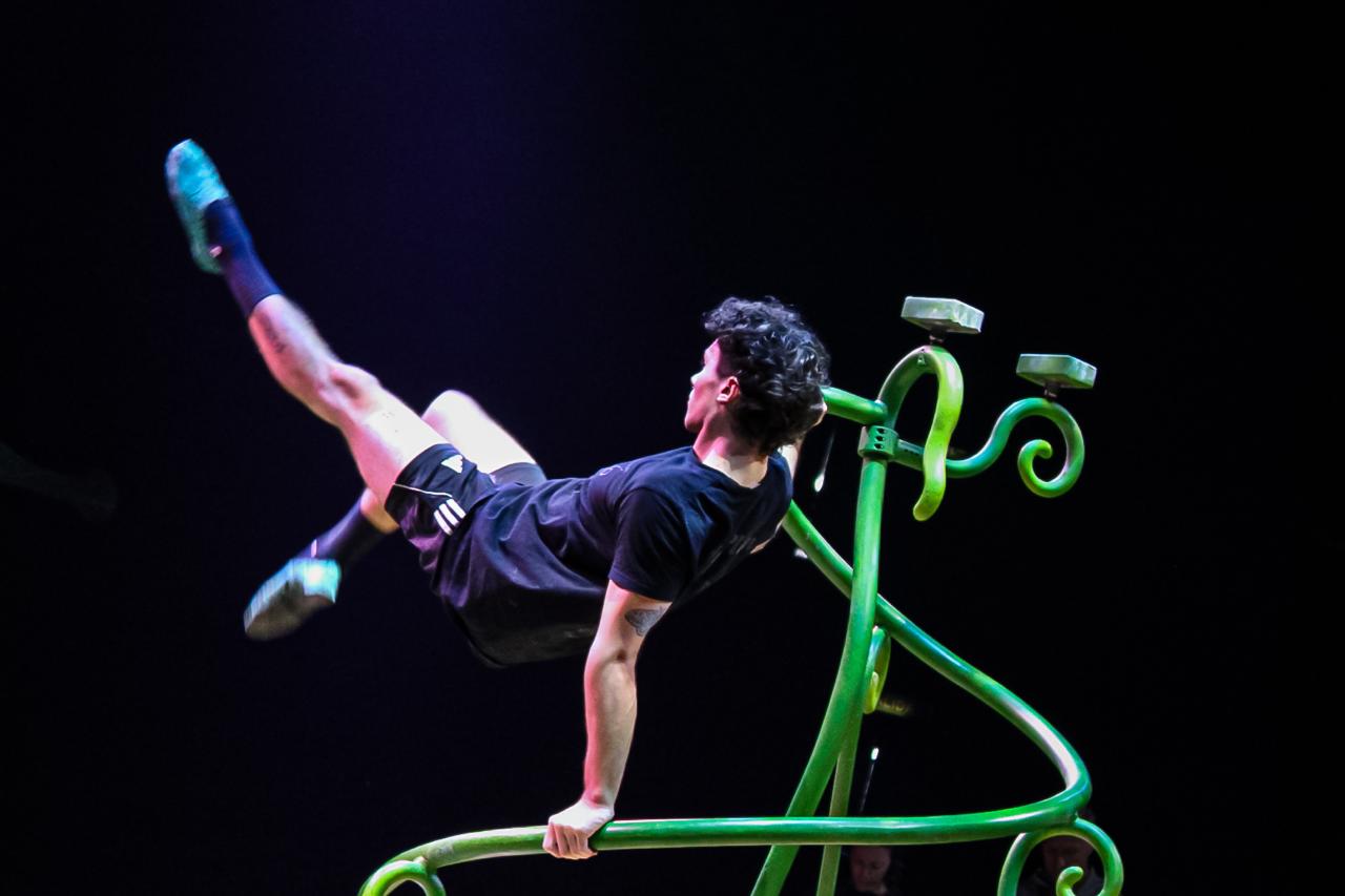 OVO CIRQUE DU SOLEIL PALACIO DE LOS DEPORTES 12 DE NOVIEMBRE 2025 (8)