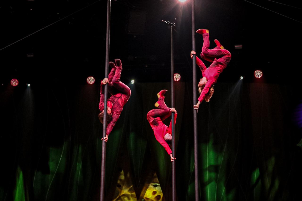 OVO CIRQUE DU SOLEIL PALACIO DE LOS DEPORTES 12 DE NOVIEMBRE 2025 (9)