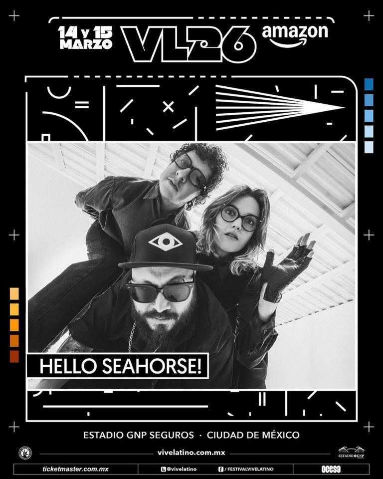 05 Hello Seahorse!