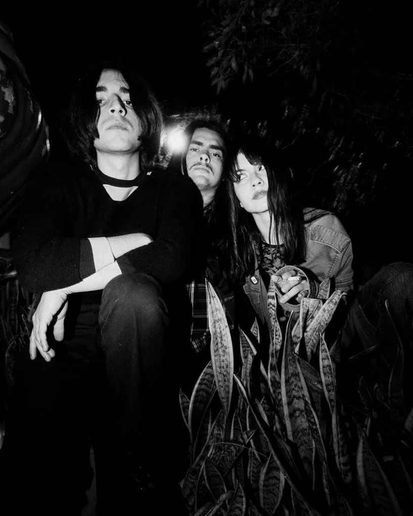 margaritas-podridas_vive_latino_torreta_metales_pesados