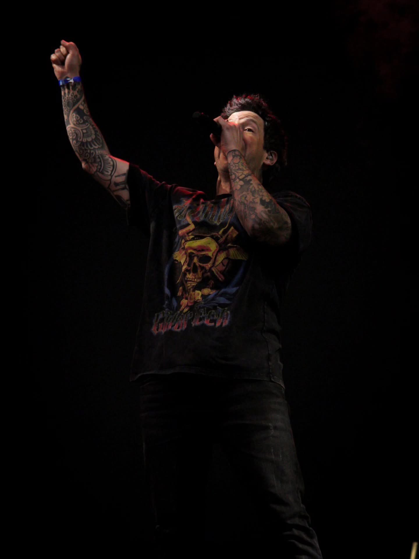 Simple Plan en Tecate PAL Norte