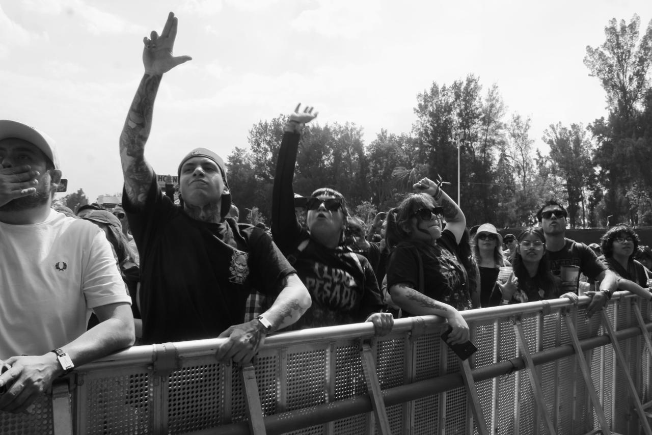 Ladones vive latino 2026 (24)