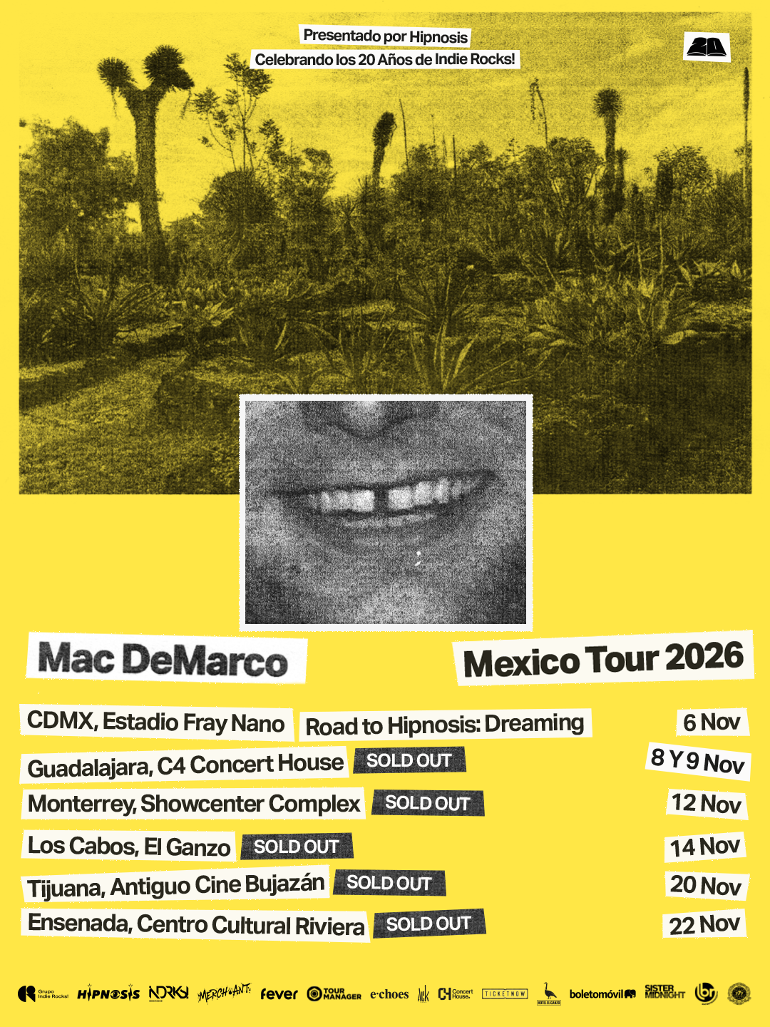 Mac DeMarco en México