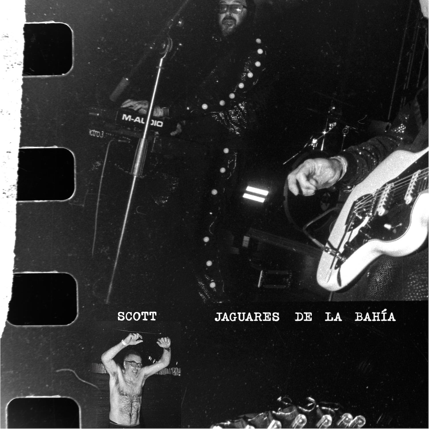 jaguares de la bahía