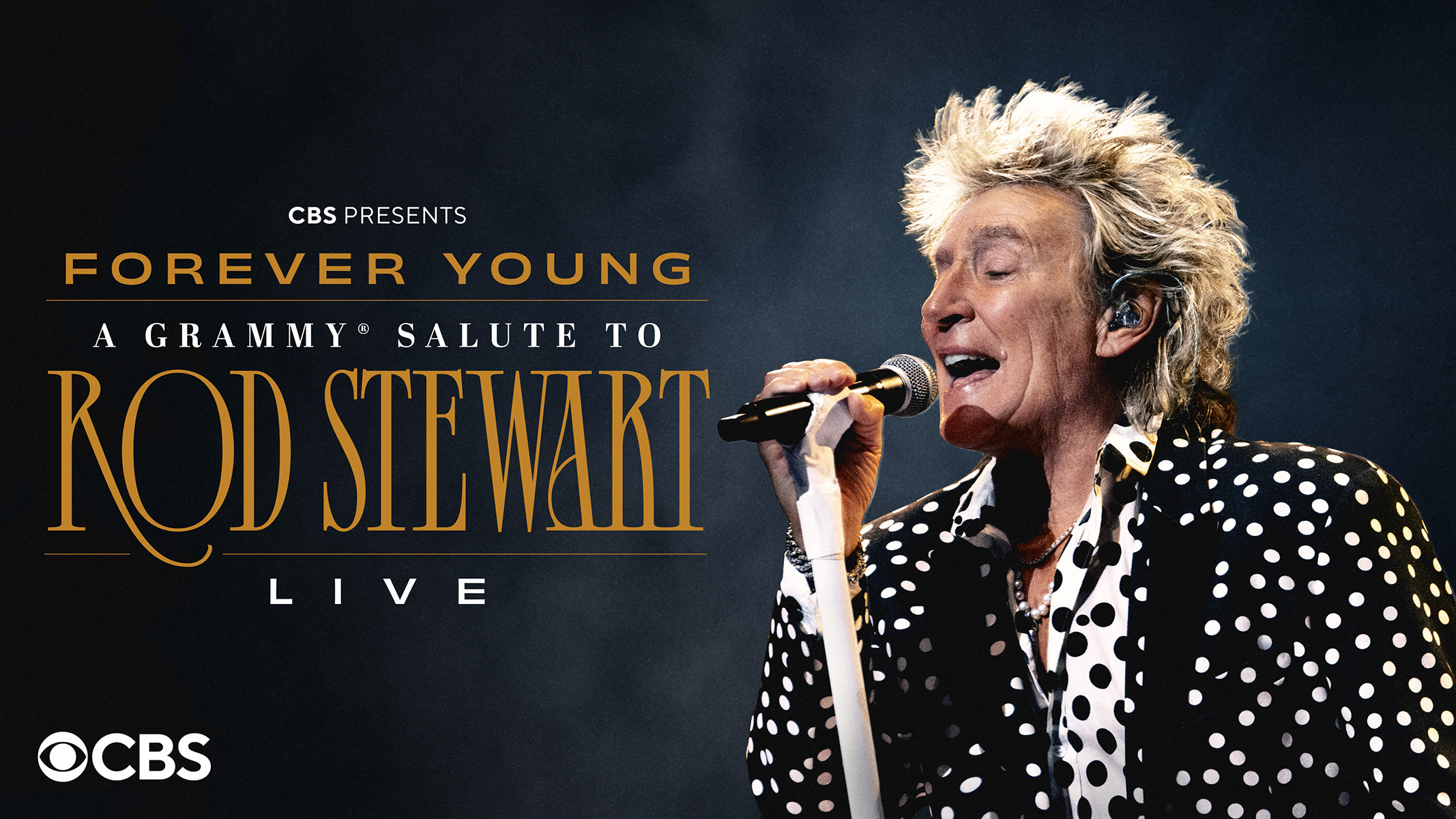 Continúa la celebración en honor a Sir Rod Stewart